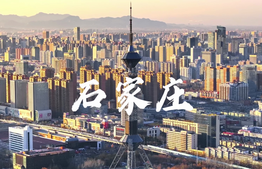 北京到石家庄租车